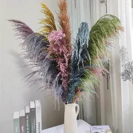 Dekoratif Çiçekler 32-34 "80cm Pampas Çim Doğal Reed Düğün Kurutulmuş Çiçek Büyük Bej Kabarık Tören Sevgililer Günü Dekorasyon Modern