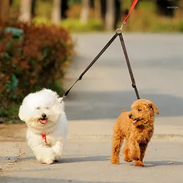 Köpek yakaları yürüyüş 2 iki köpek tasma kuplörü çift ikiz kurşun yürüyüş