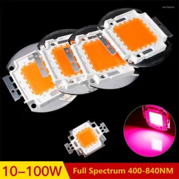 Grow Lights High Power LED Chip Full Spectrum Light Lamp 10W 20W 30W 50W 100W 380nm - 840nm COB Beads For Indoor Plant Growth