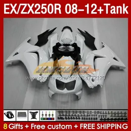 카와사키 닌자 ZX250R을위한 OEM 페어링 탱크 ZX 250R ZX250 EX250 R 08-12 163NO.18 EX250R 08 09 10 11 12 ZX-250R 2008 2009 2012 2012 주사 페어링 광택 화이트