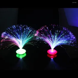 Night Lights 1PCS Beautiful Romantic Color Changing LED Fiber Optic Nightlight Lamp Small Light Chrismas Party Home Decoration