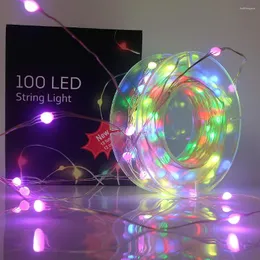 سلاسل 10M 100Lleds 5V USB SK6812 LED String أضواء عيد الميلاد لغرفة النوم WS2812B RGB Pixel Light Full Color