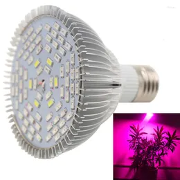 Grow Lights Full Spectrum 78 LED Işık 25W Kırmızı Mavi UV IR Büyüyen Lamba Hidroponik Çiçekler Bitkiler Sebzeler