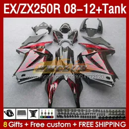 OEM Fairings Tank dla Kawasaki Ninja ZX250R EX ZX 250R ZX250 E EX250 R RED FLAMES 08-12 163NO.28 EX250R 08 09 11 12 ZX-250R 2009 2012 2011 2012 Raownict