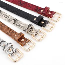 Belts 105x2.3cm High Quality Female Pu Leather Snake Waist Belt Women 2022 Designer For Women's Dress Cinto Feminino