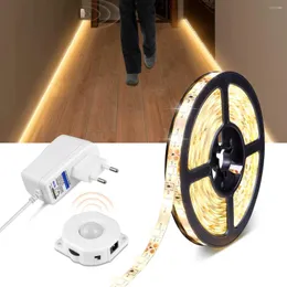 Night Lights Motion Sensor LED Under Cabinet Light Bed 1M-5M Strip Tape Lamp With 110V-220V To 12V Power Adapter