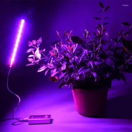 Wachsen Lichter LED Licht 5V 2,5 W USB Phyto Lampe Volle Spektrum Fitolamp Mit Steuerung Phytolamp Für Pflanzen sämlinge Blumen Hause Zelt