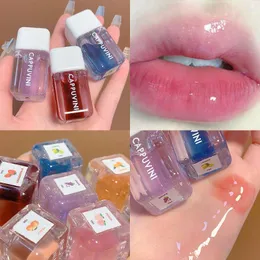 Lip Gloss 1pc Mirror Water Tint Lipsticks líquidos transparentes hidratantes, não desbotamento de óleo de enxalgo composição cosmética