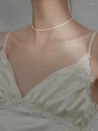 Choker Sterling Srebrny Naszyjnik Kobiety Łańcuch obojczyka Gypsophila Prosta moda Koreańska dziewczyna Kołnierze biżuterii para mujer