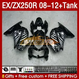 Injektionsrahmen Tank f￼r Kawasaki Ninja EX250R ZX250R 2008 2009 2012 2012 ZX250 EX250 R 163NO.84 ZX-250R 08-12 EX ZX 250R 08 09 10 11 12 OEM-Ger￤t Silvery Flammen