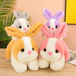 25cm Baby Rabbit Doll Soft Plush Toy Long Ears Bunny Appease Cute Plush Stuffed Animal Chidren Birthday Gift D10