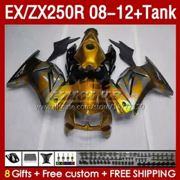 Tank OEM Fairings dla Kawasaki Ninja ZX-250 ZX250 EX250 R ZX250R 08 09 10 2012 2012 163NO.202 EX ZX 250R EX250R ZX-250R 2009 2000 2010 11 12 Wtrysku Golden Flames