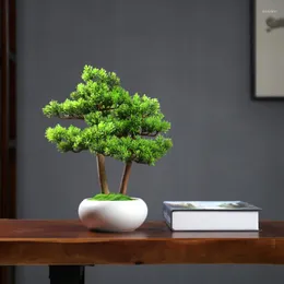 Dekorative Blumen Gast-graute Kiefern Bonsai Ornamente Desktop Simulierte gef￤lschte Pflanzen Chinesische Stilzubeh￶r k￼nstlich