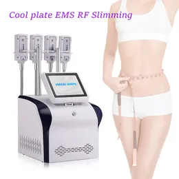 Ny Cryooskin Cryolipolysis Slimming Machine Cryo Fat Freezing Plate EMS RF Cryo Lipolysis Pad Salon Device