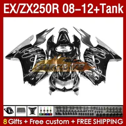 Kawasaki Ninja ZX-250 ZX250 EX250 R ZX250R 08 09 10 2011 2012 163No.211 Ex ZX 250R Ex250R ZX-250R 2008 2009 2010 11 12 enjeksiyon kapısı gümüş alevleri