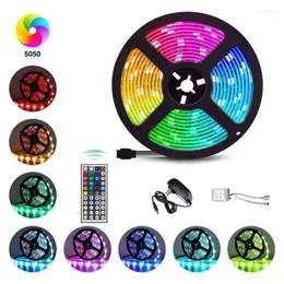 Strängar 5m RGB 30 LED -strip Light SMD 44 Nyckel Remote Full Kit String Controlle Party Home Decoration