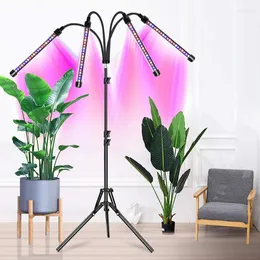 Grow Lights 1/4 huvud LED -lampan USB Phyto Lamp Full Spectrum fitolampy f￶r v￤xter plantor Flower inomhus fitolampl￥da med contro