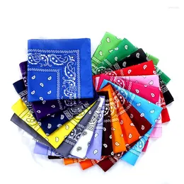 Bandanas 2022 Fashion Hip Hop Men Men Women Bandana Sports Headwear Paisley Hairgwrap с двусторонней головкой шарф