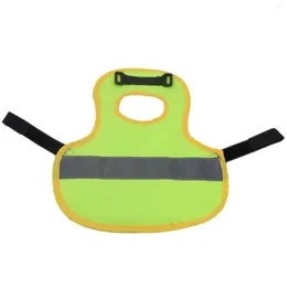 Cat Carriers Chicken Vest For Hens Pet Reflective With Adjustable Strap Poultry Hen Saddle Comfortable Apron Feather