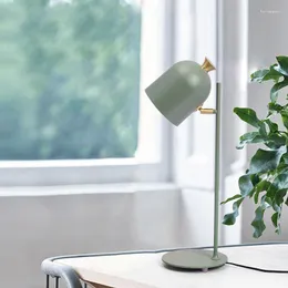 Потмные тормы современная лампа красочная минималистская железа для гостиной спальни скандинавский декор Light E27