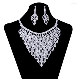 Necklace Earrings Set & Bride Crystal Women Wedding / Birthday Accessories Colar Brincos #N085