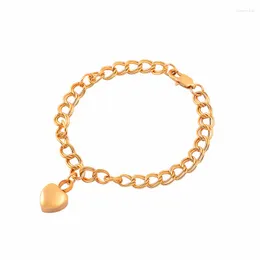 Link Bracelets IJB5010 Pet Cemetery Gold Plating Stainless Steel Heart Charm Urn Cremation Bracelet Fashion Women Jewelry Bangle