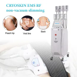 Cryoskin Freezer Body Shaping Fat Dissolve EMS lose Weight Cryolipolysis Slimming Machine
