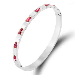 Armreif 2022 Luxus-Kettenarmband für Frauen Schmuck Titanstahl Zirkonia Armreifen Rosa Kristalle Schraube Silber Farbe Armbänder