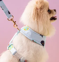 Marca de moda de chicote para animais de estimação de boutique pequeno e médio cães de cães de cães segurando corda cães de pão colarinho