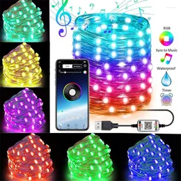 문자열 USB LED RGB Fairy String Light Garland Bluetooth Control Lamp 방수 야외 크리스마스 조명 나무 장식 웨딩 장식