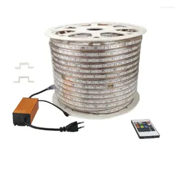 스트립 100 미터 LED RGB 스트립 라이트 AC 220 V 방수 IP67 테이프 20 키 IR 원격 제어 색상 변경