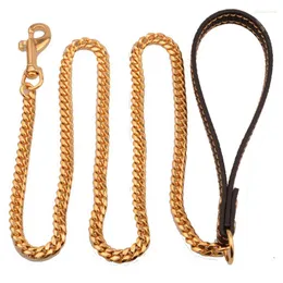 Hundehalsbänder, 10 mm dick, für Haustiere, modisch, goldene, edle Leine, Edelstahl, großes silbernes Halsband, Outdoor-Zubehör