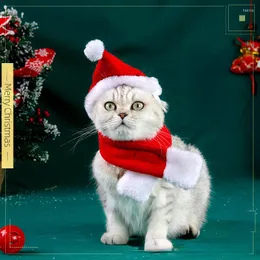 Vestuário para cães pet natal lenff chat terno