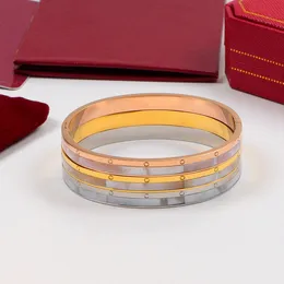 Designer lyxiga smycken armbanden kvinnliga skalarmband rosguld platina rostfritt stål armband för kvinnor tillbehör grossist inte allergisk