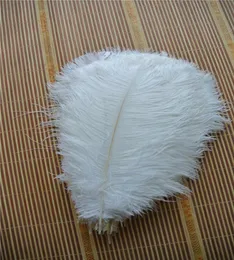100PCS 1416INCH OSTRICH FEATHER PLUME WHITE for Wedding Centerpieces Wedding Decor Party Event Supply Decor9928151
