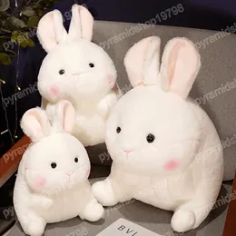 30-50cm Kawaii Bunny Peluche Toys Lovely White Fat Rabbit Pleushie Pillow Cadeira reconfortante almofada Dolls Aplease para crian￧as