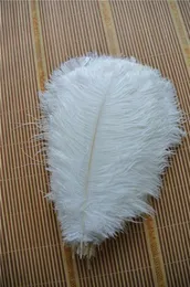 100PCS 1416INCH OSTRICH FEATHER PLUME WHITE for Wedding Centerpieces Wedding Decor Party Event Supply Decor1216438