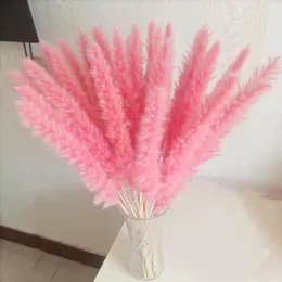 Decorative Flowers Pampas Grass Natural Dried Flower Arrangement Wedding Tall Fall Room Decortion Items Mariage Artificial Wholesale