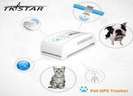 Super Mini GPS Tracker TK909 Long Soundby Time Dog Cat Pet Pet Pet GPS -трекер для веб -сайта iOS Andriod App Service2855501
