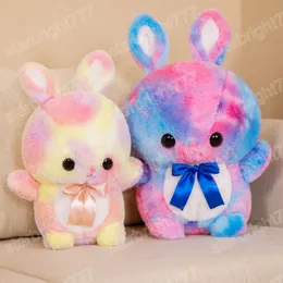 35/45cm Lovely Dream Series Rabbit Plush Dolls 귀여운 화려한 토끼 플러시 장난감 어린이를위한 부드러운 동물 쿠션