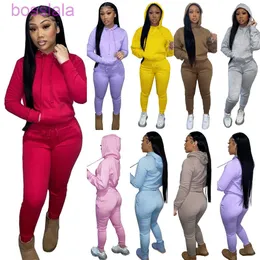 Autumn Winter Women Hooded Tracksuits 2 Pieces Set Designer Plush Drawstring Pullover Sweatpants Sweatsuits 15Colors