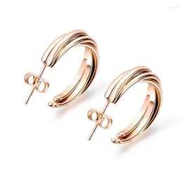 Hoopörhängen Enkel rosguldfärg Twist Metal Earring Hoops Elegant Charming for Women Trendy Circle 2022 i Hawson