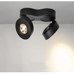 Plafoniere Faretti a LED a montaggio superficiale dimmerabili di alta qualità 20W30W Lampada COB Spot AC110-220V Illuminazione per interni