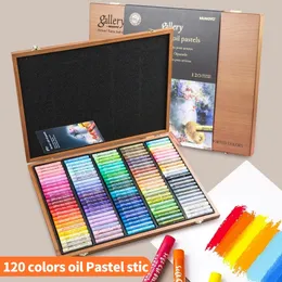Mungyo Gallery Soft Pastelli ad olio per artisti Premium 36 Colori Disegno MOPV36