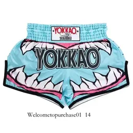 Mens Athletic Shorts: Designer Inspired, Quick Dry Running