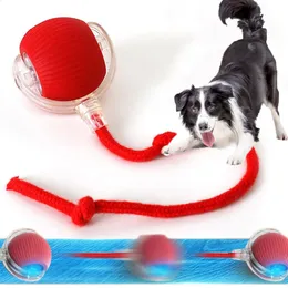Interactive Electric Puppy: Walking, Barking, Wagging Tail Plush