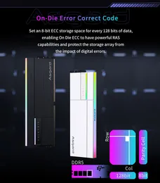 Asgard Valkyrie II Memoria Ram DDR5 RGB RAM Memory DDR5 RAM PC
