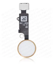 Scheda Madre Principale Sbloccata Per IPhone 5S – 16GB O 32GB, Con O Senza Touch ID. Usata Ma Funzionante.