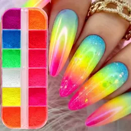 12 Colori Unghie Pigmenti Per Pigmenti Al Neon Polvere Ombra Ombra