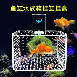 Aquarium Cabinet for Fry Survival: Ultimate Guide to Safe Growth